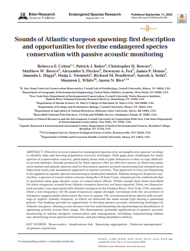 Research Poster Image