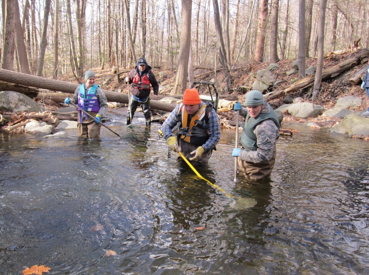 Electrofishing Site 4_2017